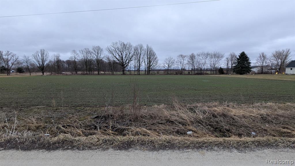 0 Holmes Road Allenton, MI 48002 - Photo 6 of 6