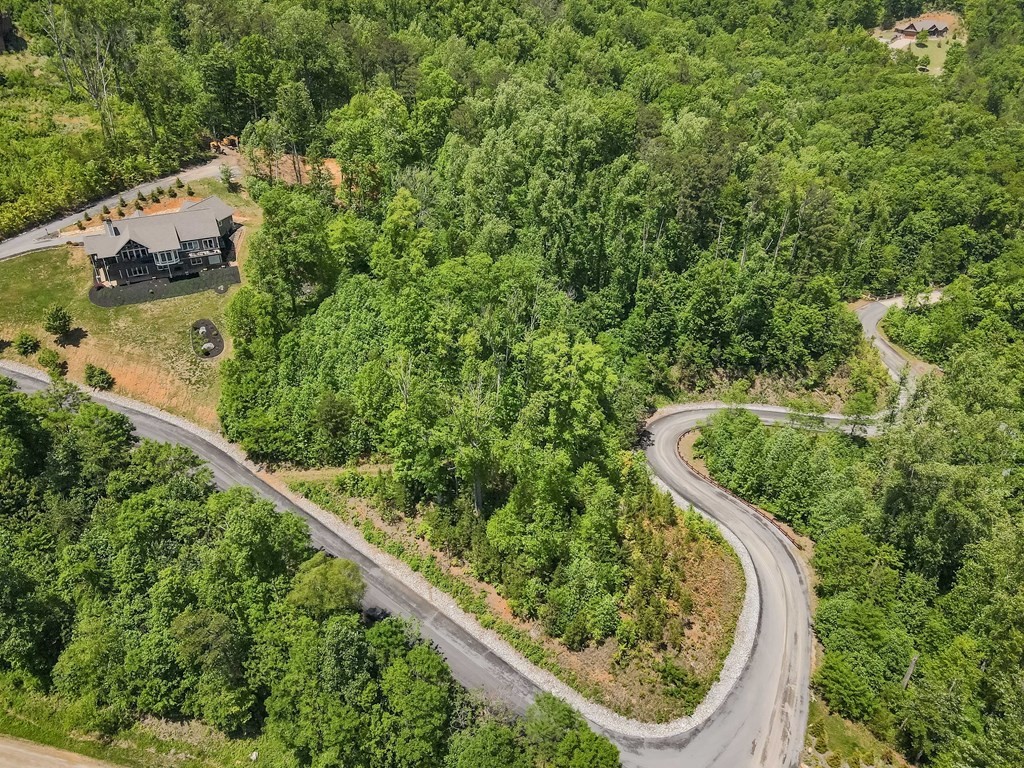 134 Summit Trails Drive Sevierville, TN 37862 - Photo 13 of 19
