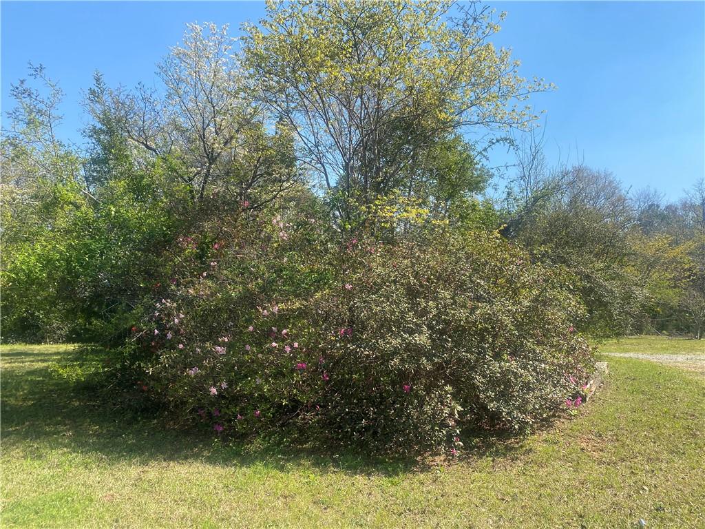 109 Hillcrest Road Lumpkin, GA 31815 - Photo 9 of 11