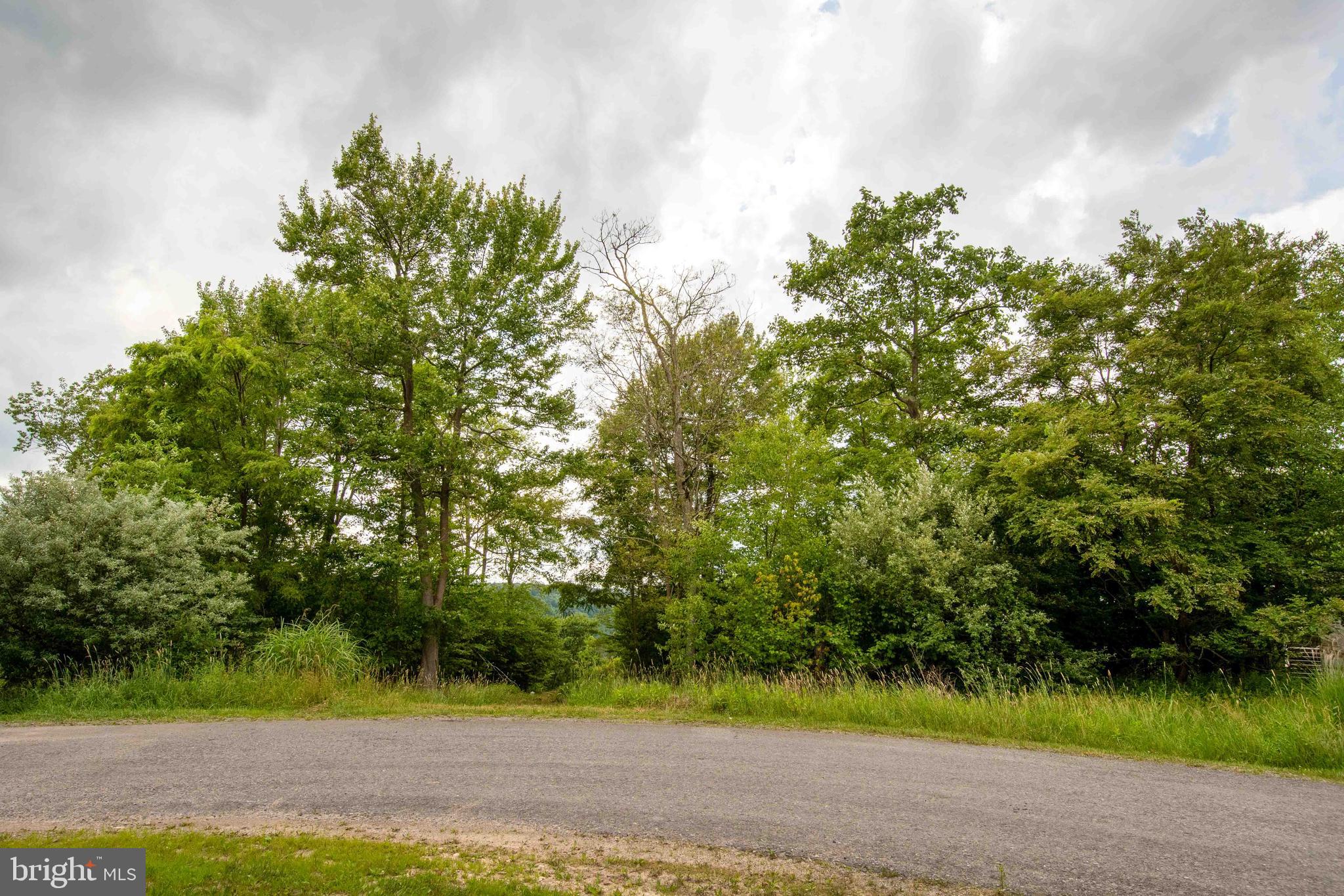Lot 87 Lower Camp Road McHenry, MD 21541 - Photo 11 of 12