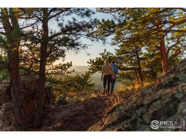 a view of outdoor space and a yard