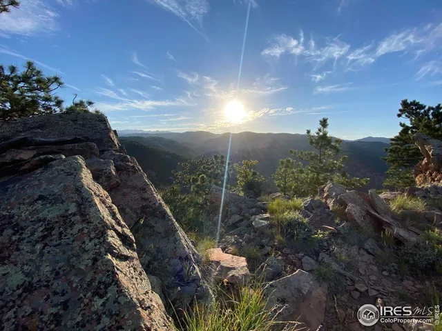 a view of a city with lush green forest