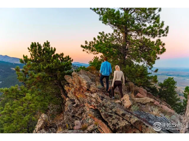 a top view of a backyard