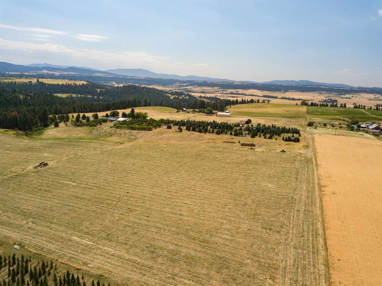 Xxx East Ballard Road Colbert, WA 99005 - Photo 4 of 7