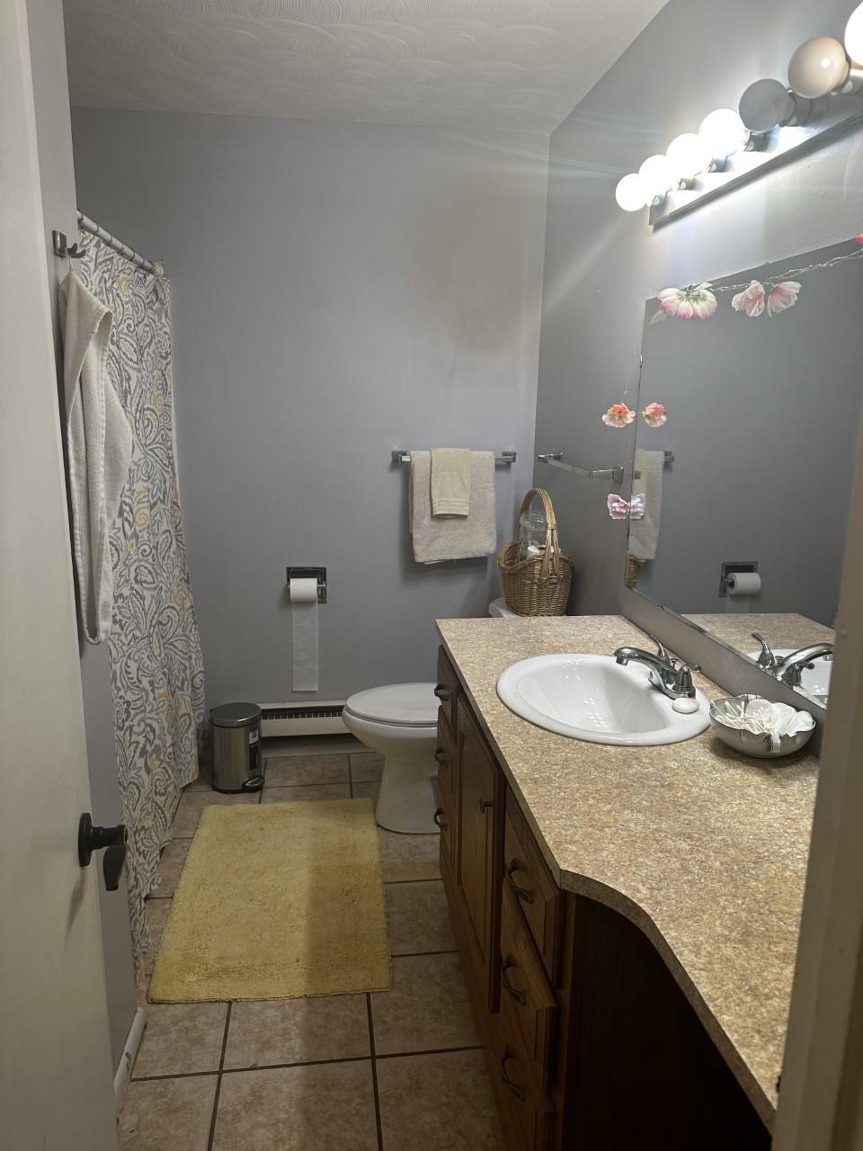 122 Robinson Road Clyde, NC 28721 - Photo 4 of 9 a bathroom with a granite countertop sink a toilet a mirror and shower