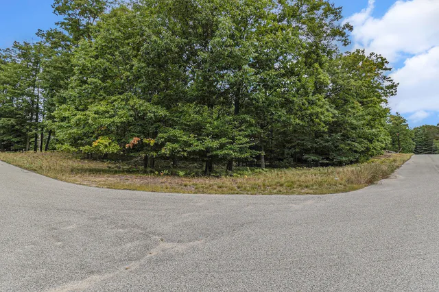 $44,900 | Lot 13 Pine Street, Mears, MI 49436