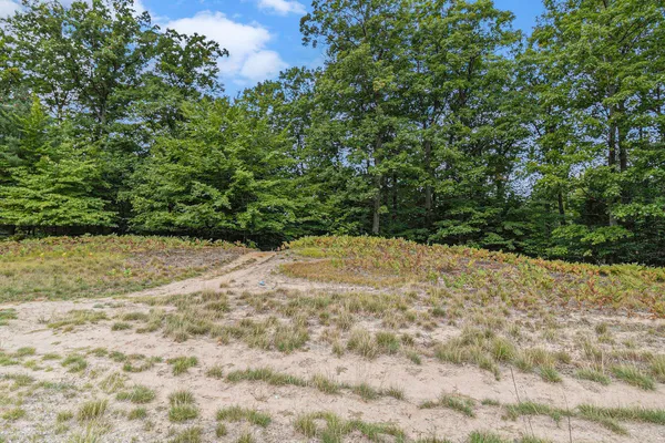 $44,900 | Lot 13 Pine Street, Mears, MI 49436