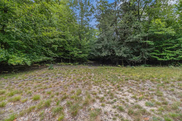 $44,900 | Lot 13 Pine Street, Mears, MI 49436