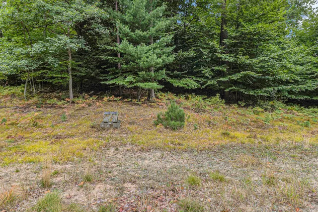 $44,900 | Lot 13 Pine Street, Mears, MI 49436