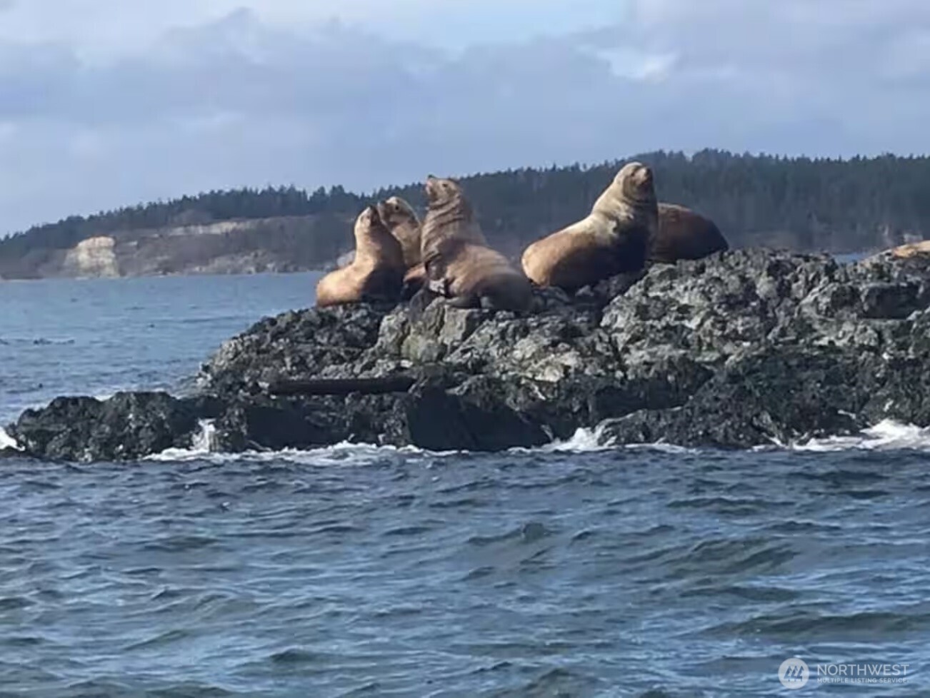 641 Decatur Head Drive Decatur Island, WA 98221 - Photo 38 of 40 a view of a lake