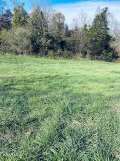 Bob Wright Road Maynardville, TN 37807 - Photo 8 of 16 IMG_0905