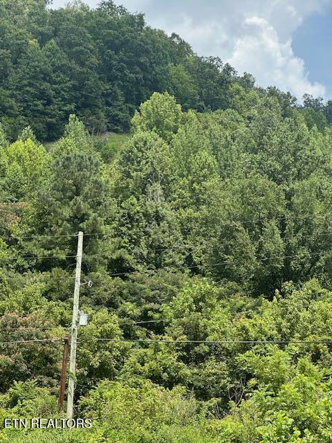 100 Knot Hole Left Road Arjay, KY 40902 - Photo 3 of 5 IMG_0571