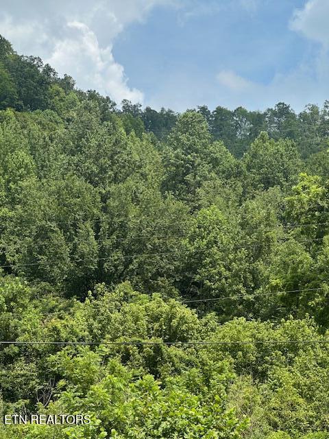 100 Knot Hole Left Road Arjay, KY 40902 - Photo 5 of 5 IMG_0570