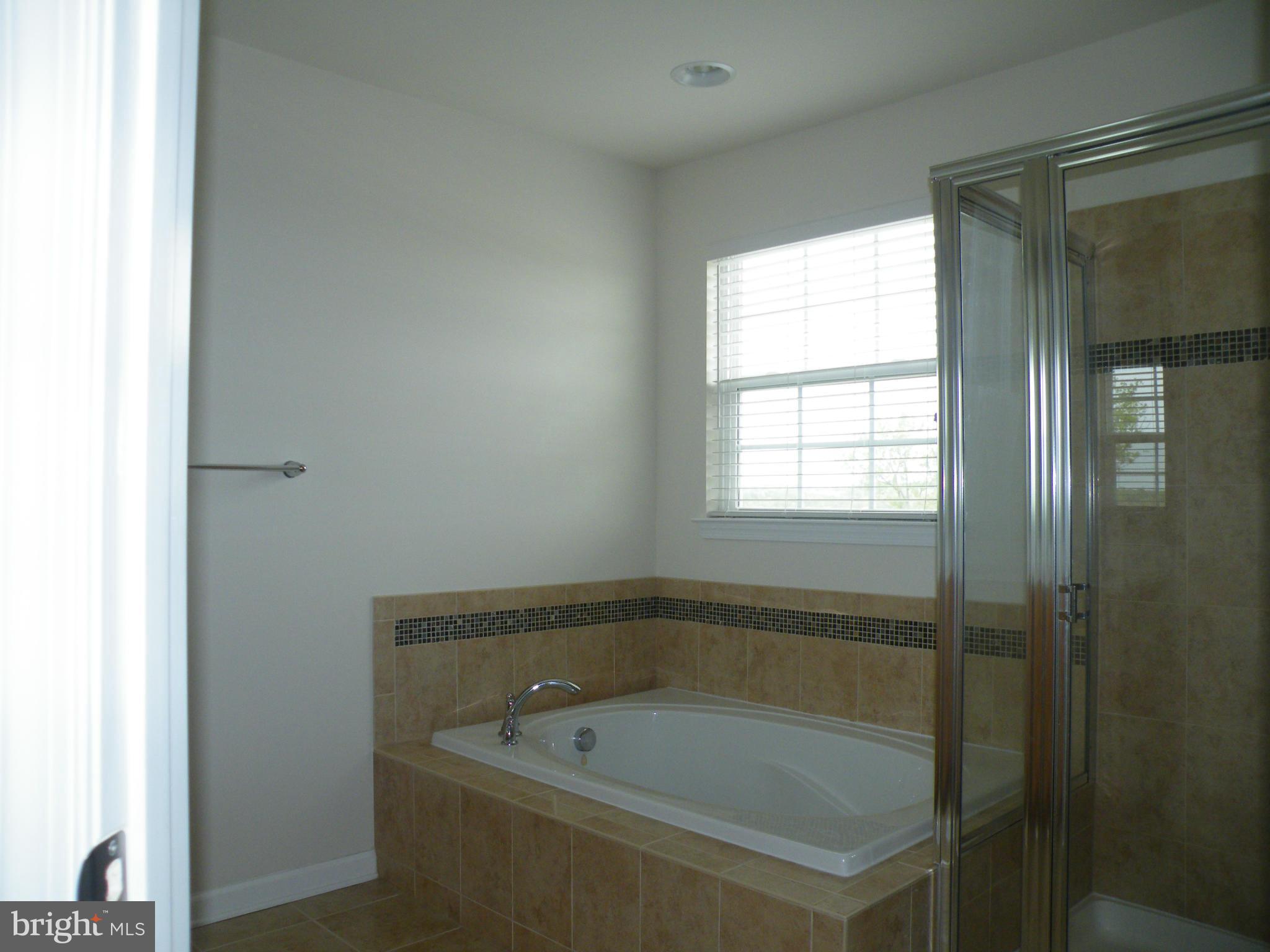 128 Short Branch Road Stafford, VA 22556 - Photo 17 of 20 Bath (Master)