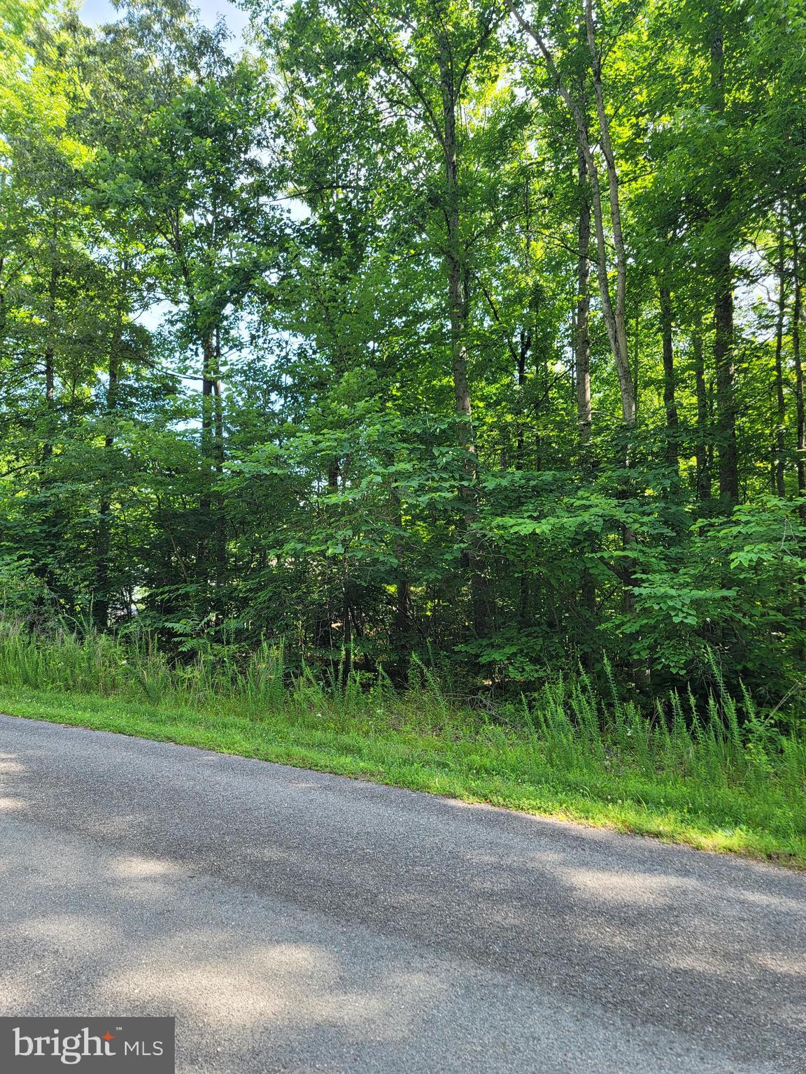 Lot 64 Hemlock Loop Mineral, VA 23117 - Photo 3 of 25