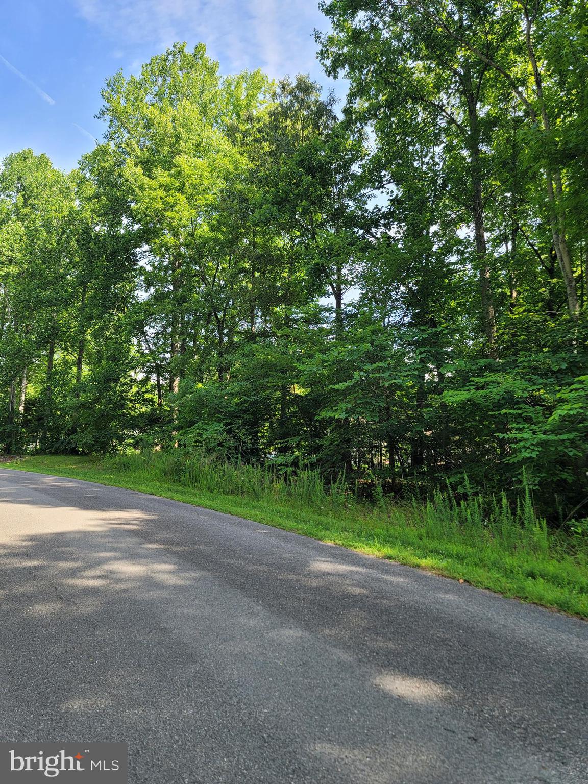 Lot 64 Hemlock Loop Mineral, VA 23117 - Photo 4 of 25
