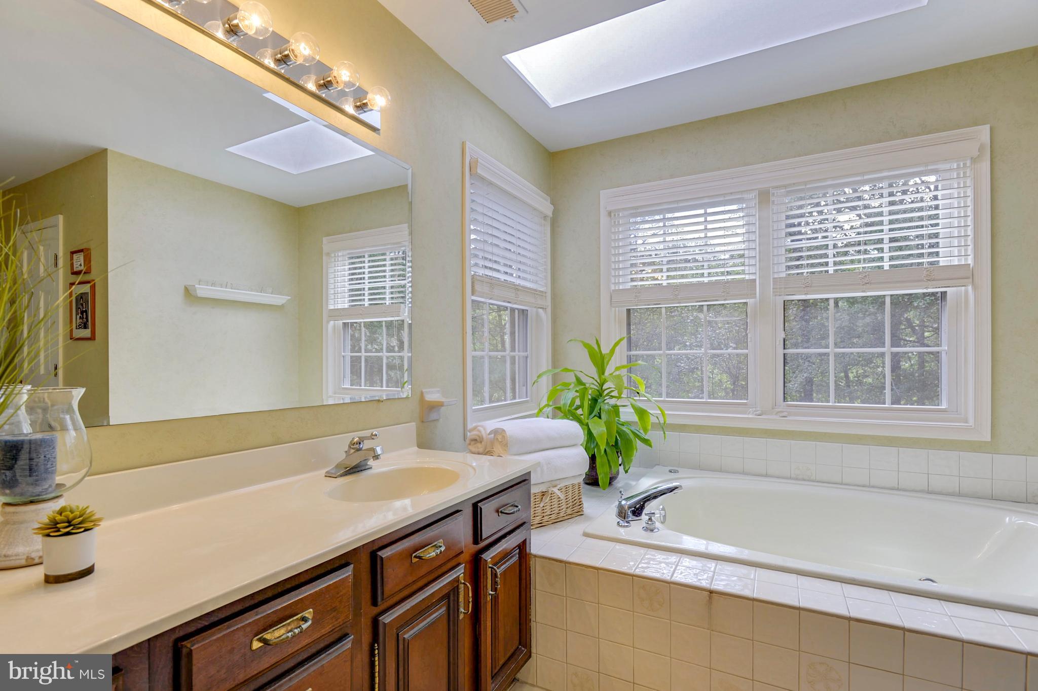 22118 Watson Road Leesburg, VA 20175 - Photo 15 of 30 Bath (Master)
