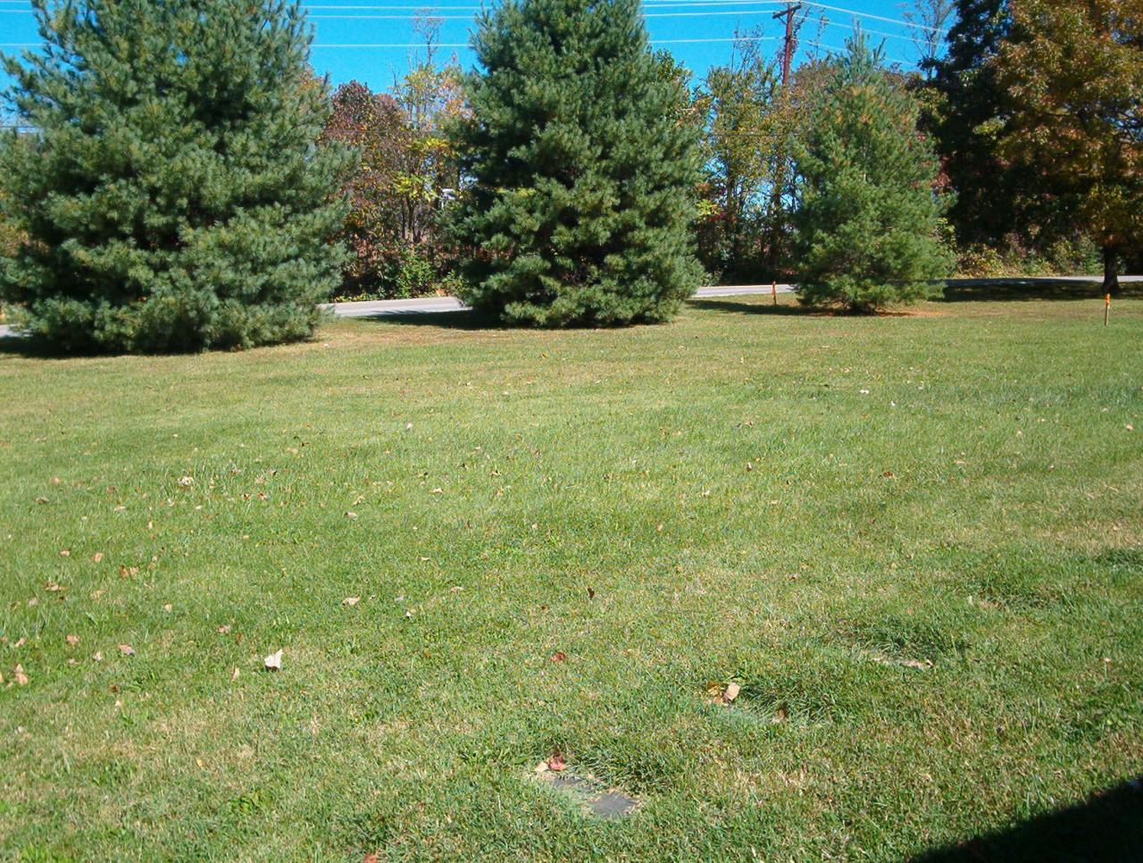 1216 North Mill Road Salem, VA 24153 - Photo 3 of 10 Beautiful level front yard
