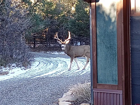 a view of a city and a mountain
