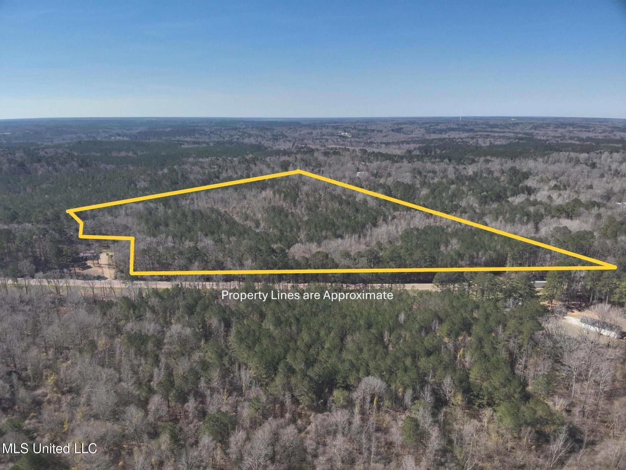 0 Ms-27 Crystal Springs Crystal Springs, MS 39059 - Photo 3 of 11 South Lot