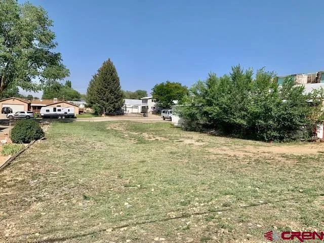 a view of a yard with plants and trees