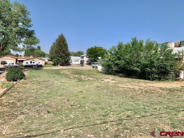500 South Market Street Cortez, CO 81321 - Photo 4 of 12 a view of a yard with plants and trees