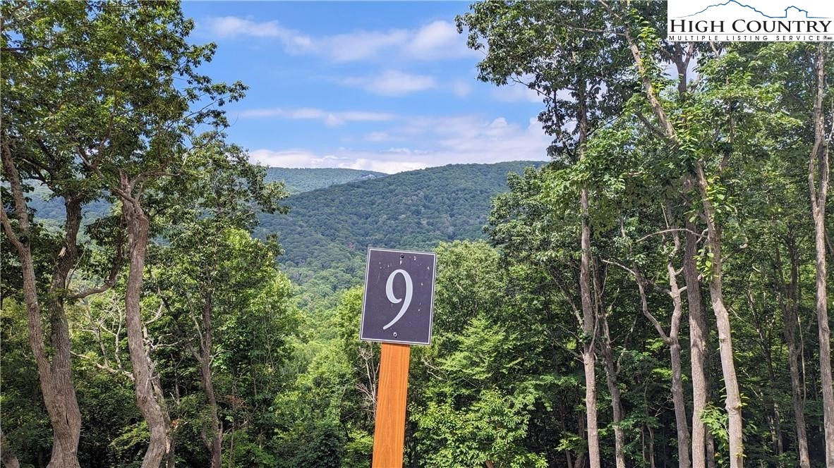 9 Poplar Forest Drive Boone, NC 28607 - Photo 14 of 28