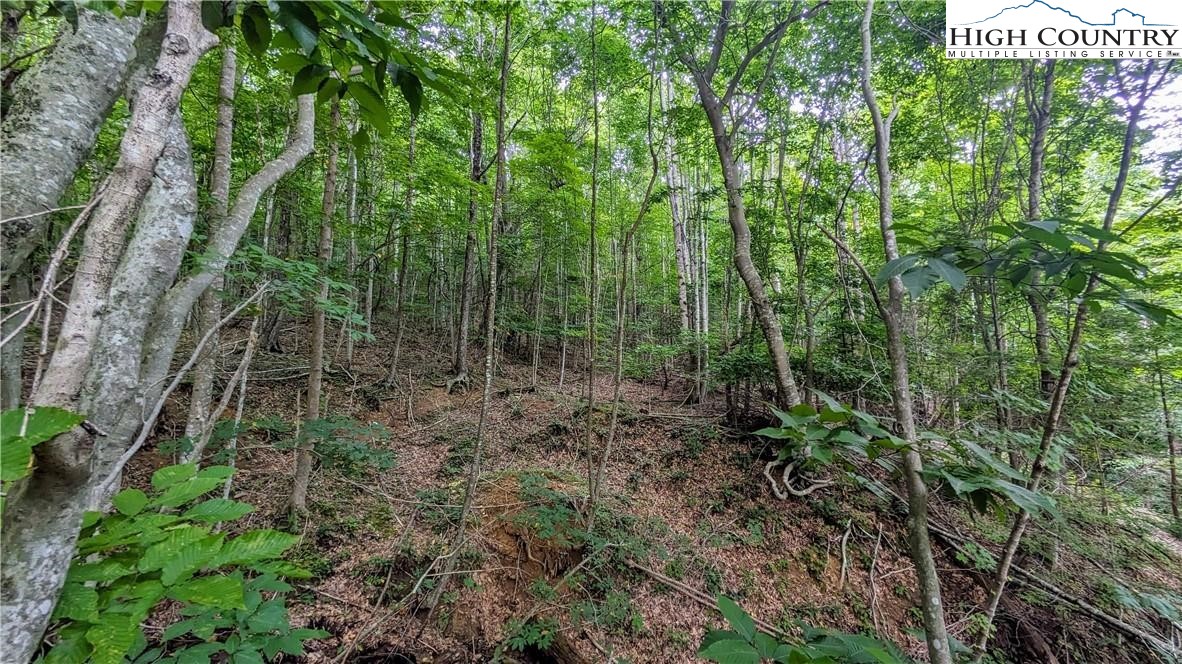 9 Poplar Forest Drive Boone, NC 28607 - Photo 20 of 28