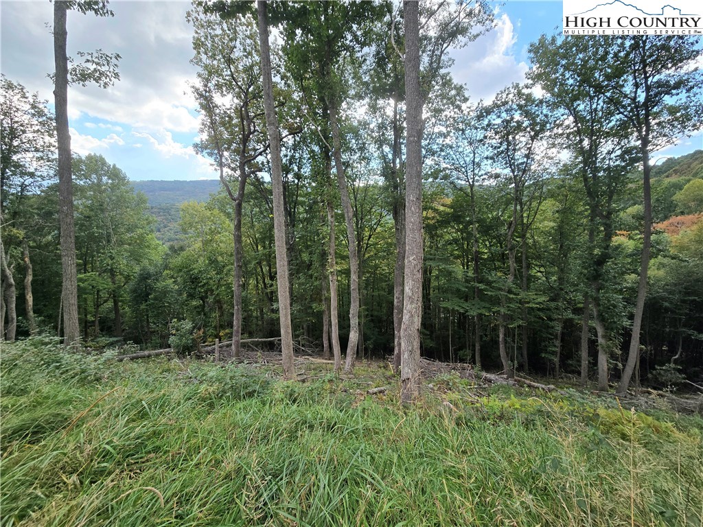 9 Poplar Forest Drive Boone, NC 28607 - Photo 4 of 28