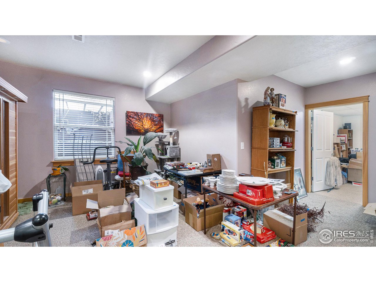 134 Ridge Road Eaton, CO 80615 - Photo 27 of 36 Please ignore the clutter in the basement as there will be an Estate Sale next week