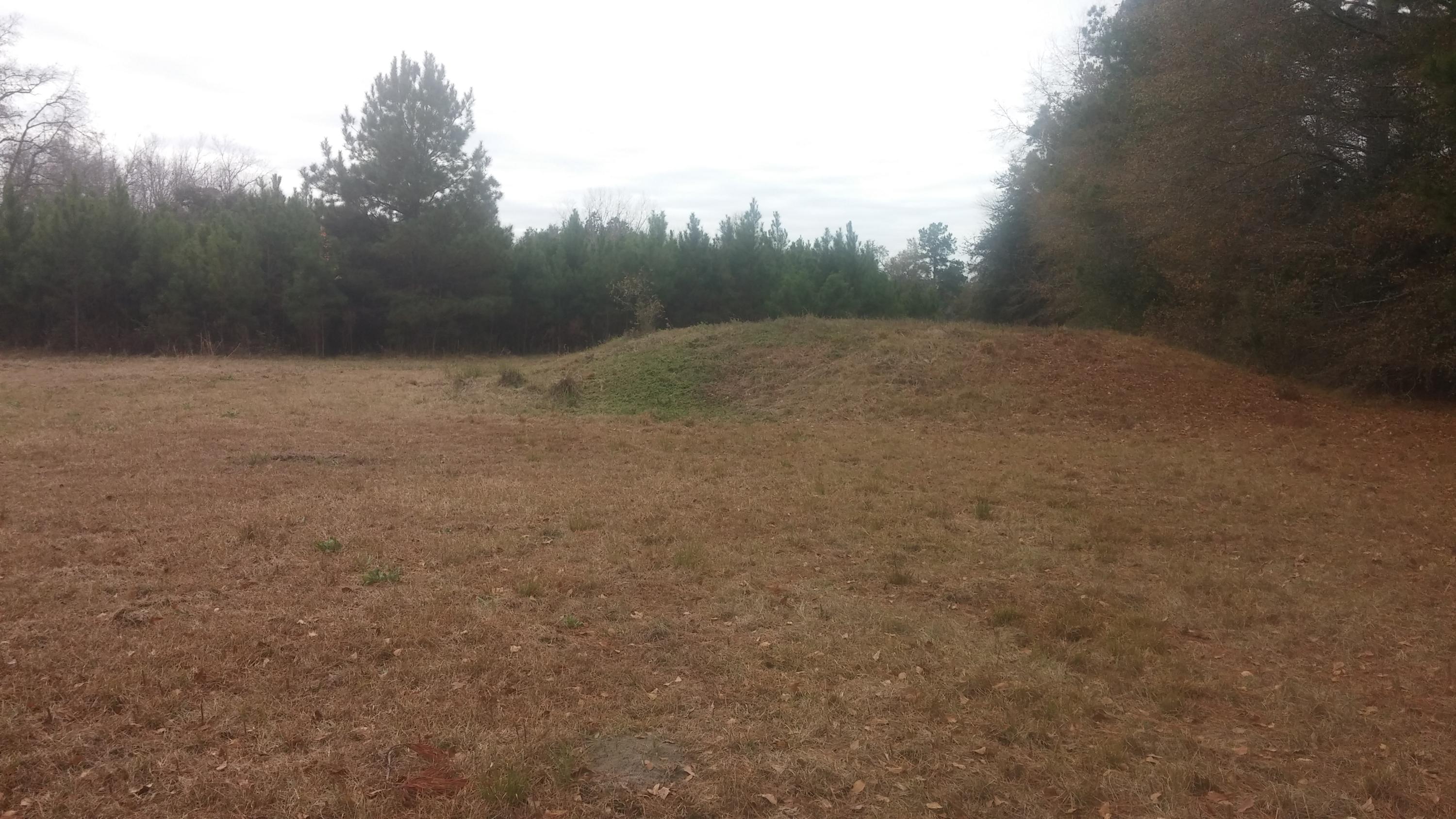 404 Schoolhouse Road Dorchester, SC 29437 - Photo 8 of 11 sch5