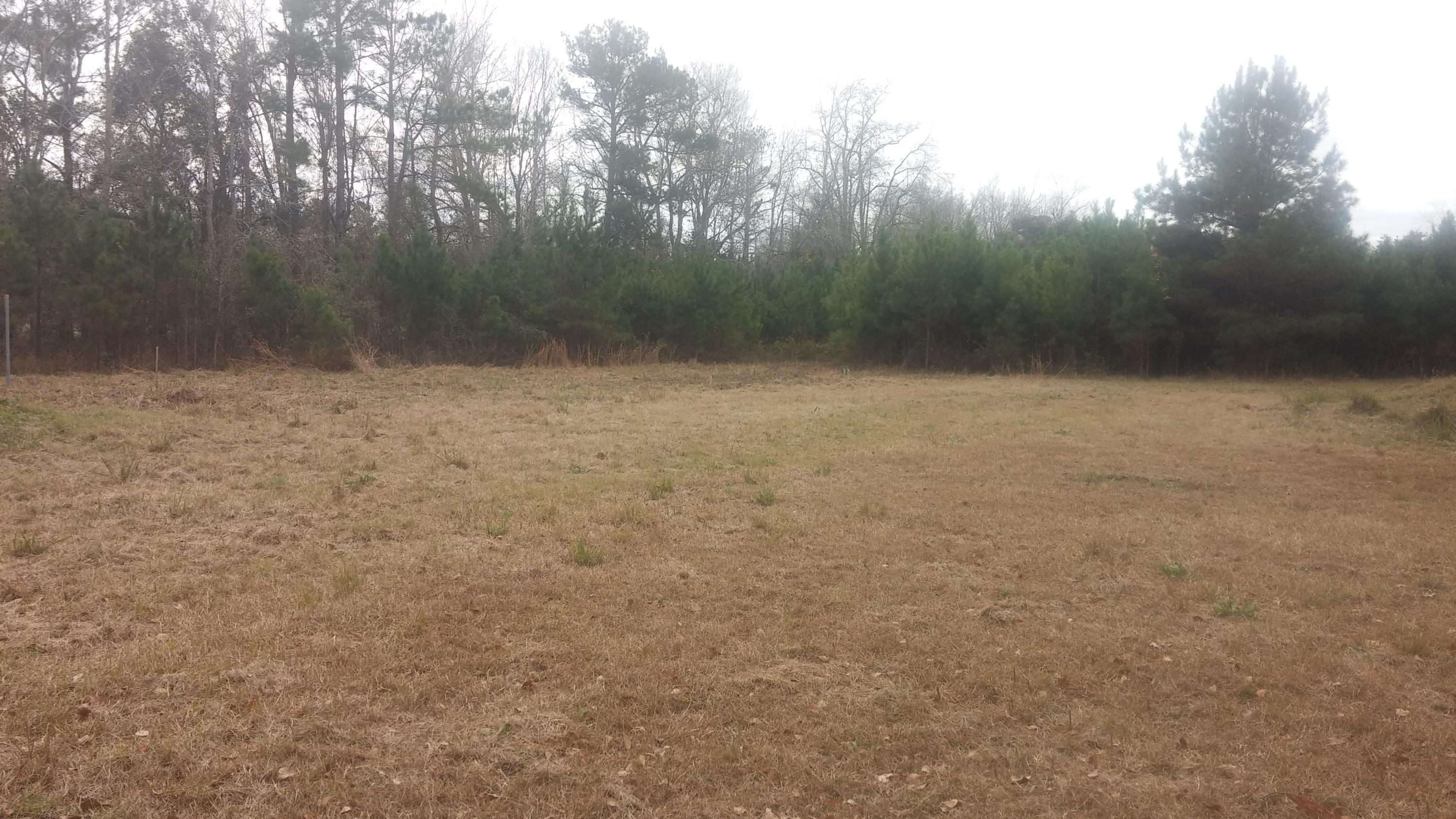 404 Schoolhouse Road Dorchester, SC 29437 - Photo 9 of 11 sch4