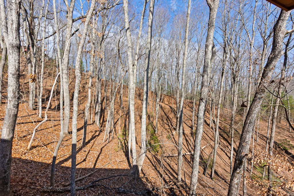 87 Tuscarora Trail Murphy, NC 28906 - Photo 40 of 74 a view of forest