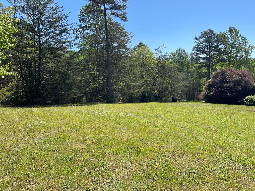 a view of outdoor space and yard