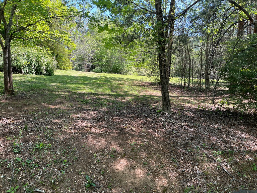 Lot 71 Licklog Ridge Hayesville, NC 28904 - Photo 2 of 7 a view of a field with trees in the background