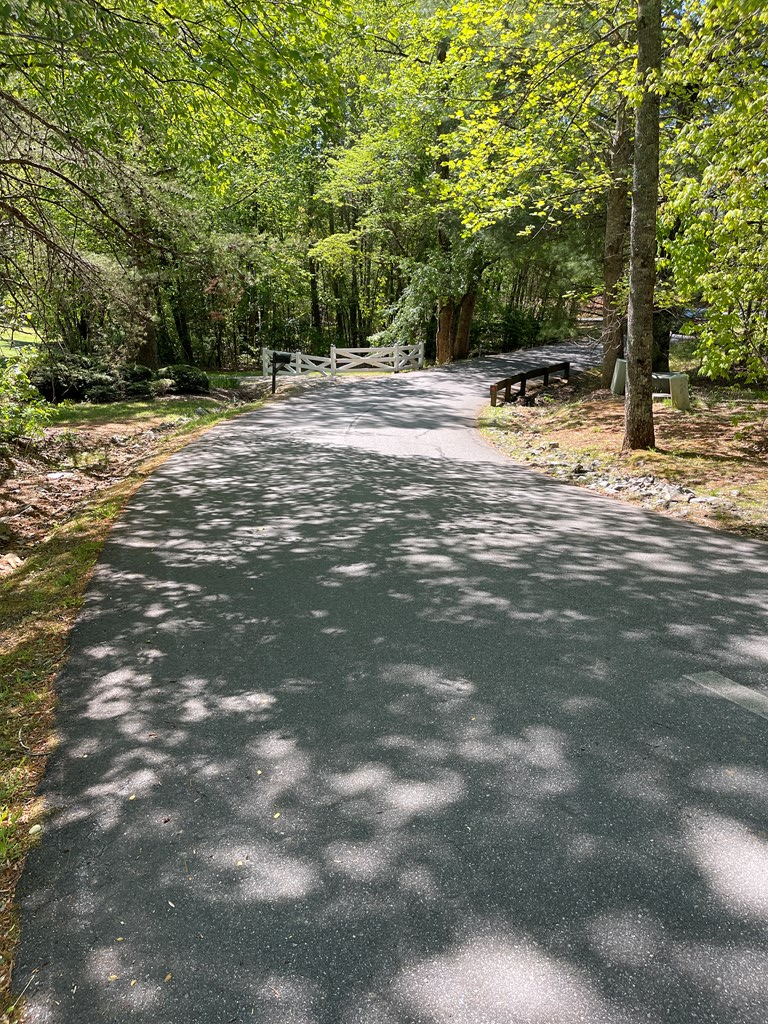 Lot 71 Licklog Ridge Hayesville, NC 28904 - Photo 3 of 7 a view of road with trees