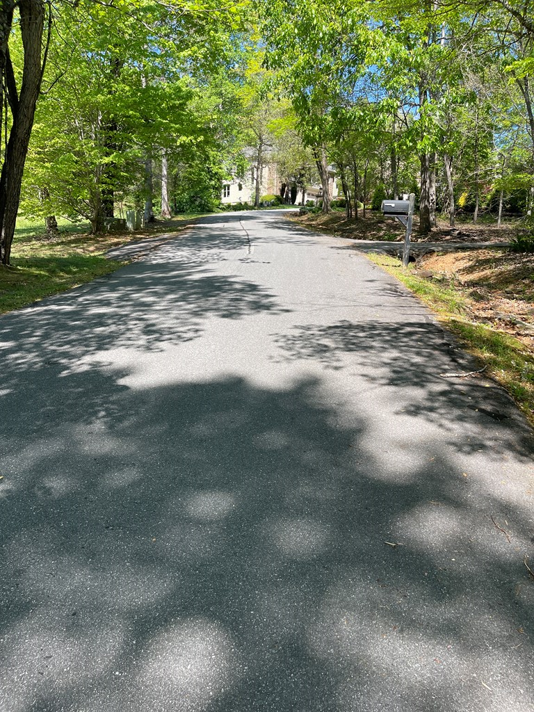 Lot 71 Licklog Ridge Hayesville, NC 28904 - Photo 4 of 7 a view of road with trees