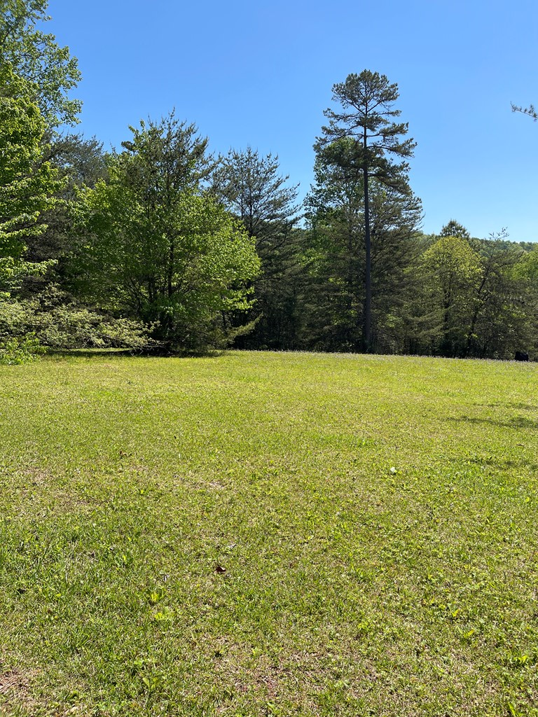 Lot 71 Licklog Ridge Hayesville, NC 28904 - Photo 5 of 7 a view of an ocean and trees
