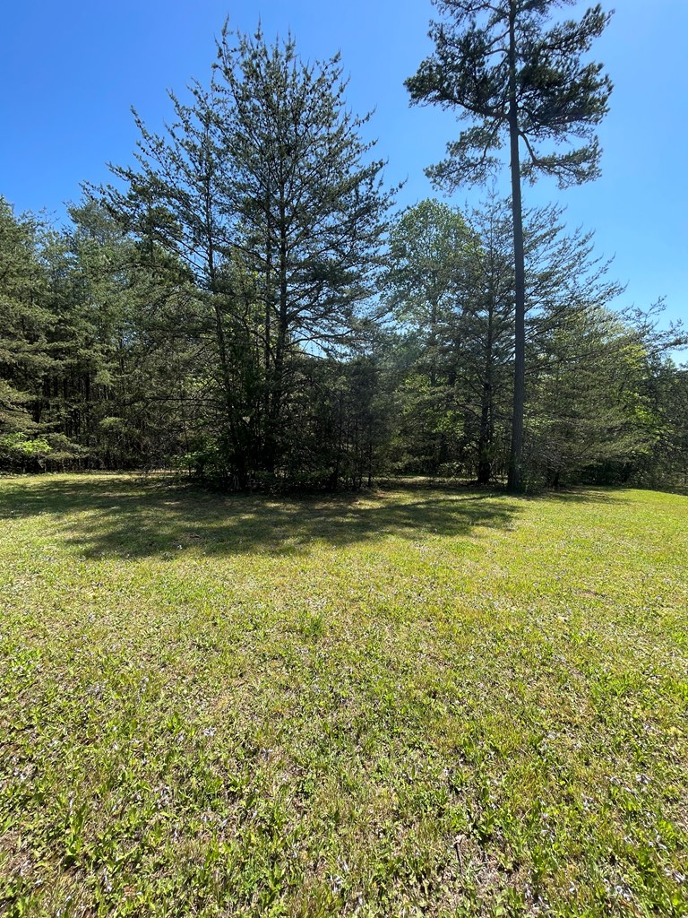 Lot 71 Licklog Ridge Hayesville, NC 28904 - Photo 6 of 7 a view of swimming pool with an outdoor space and seating area