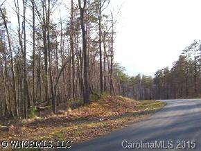 32 South Cove Road Mill Spring, NC 28756 - Photo 3 of 4 a view of outdoor space with a car park
