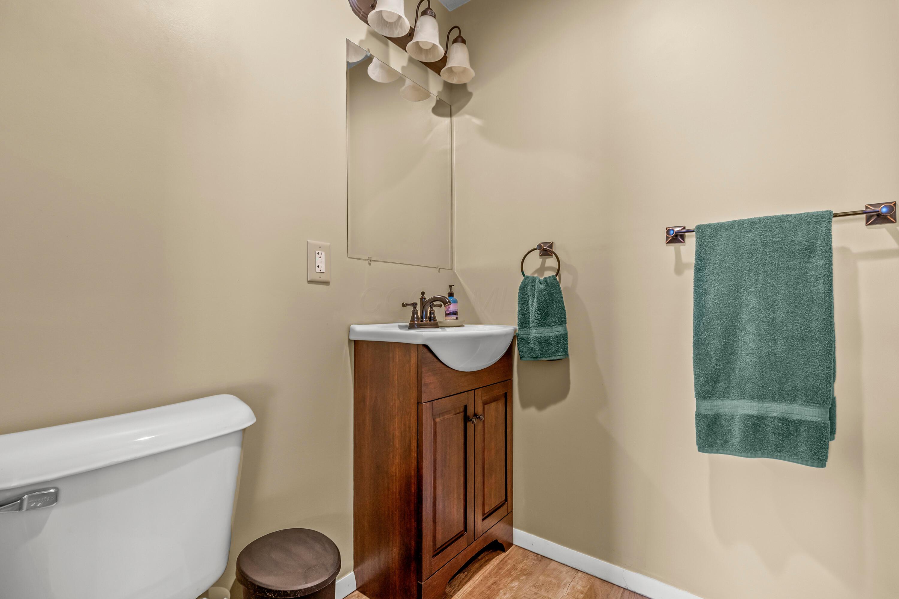 3582 Panhandle Road Delaware, OH 43015 - Photo 44 of 65 • Luxury vinyl plank flooring • Ivory painted walls • Enclosed vanity with single bowl sinktop • 3 bulb wall light • Can lighting • Shower stall