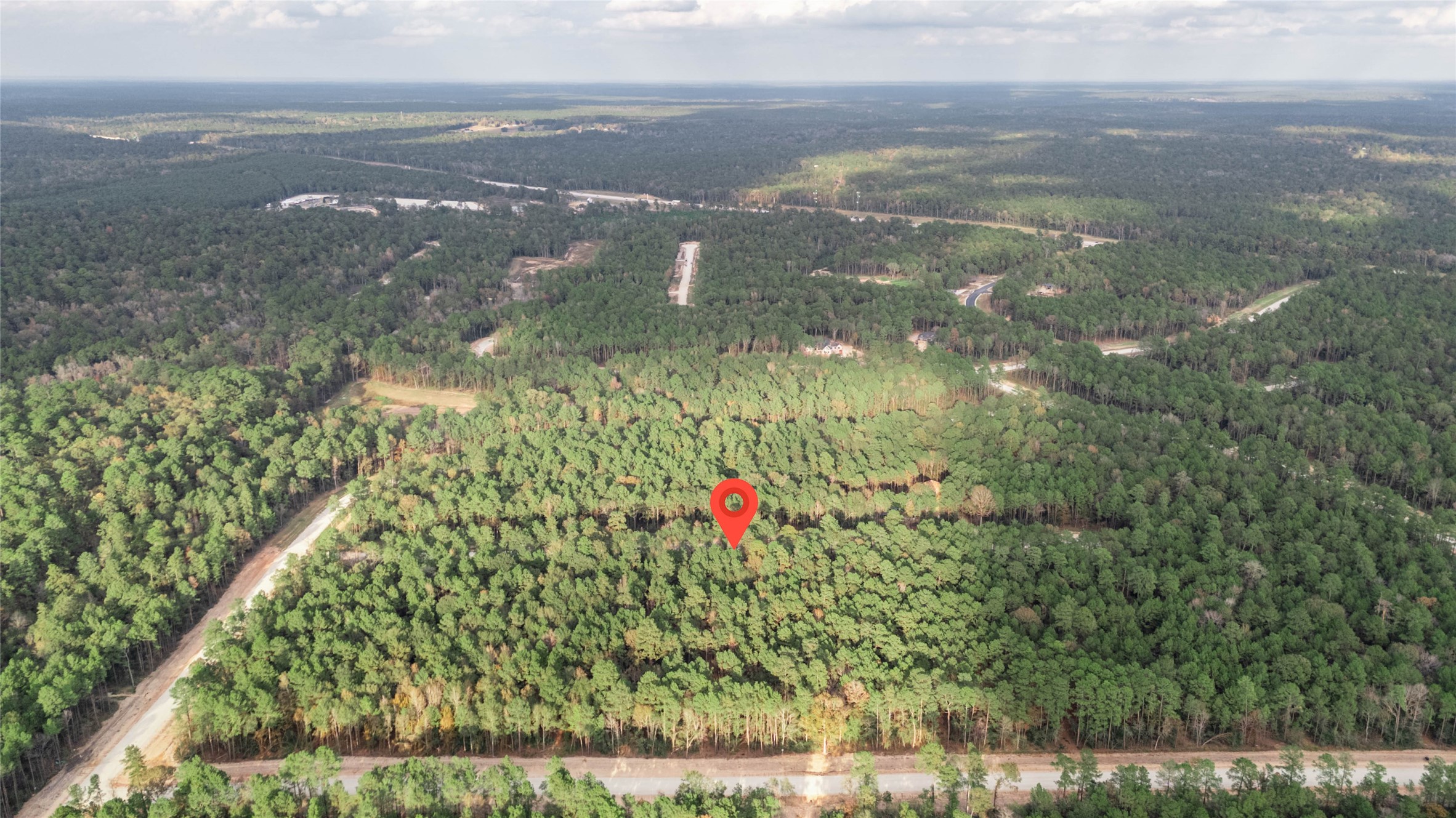 134 Splendid Road New Waverly, TX 77358 - Photo 1 of 17 a view of city