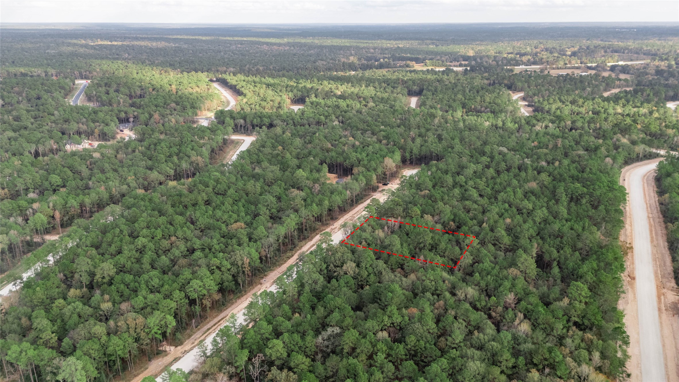 134 Splendid Road New Waverly, TX 77358 - Photo 14 of 17 an aerial view of forest