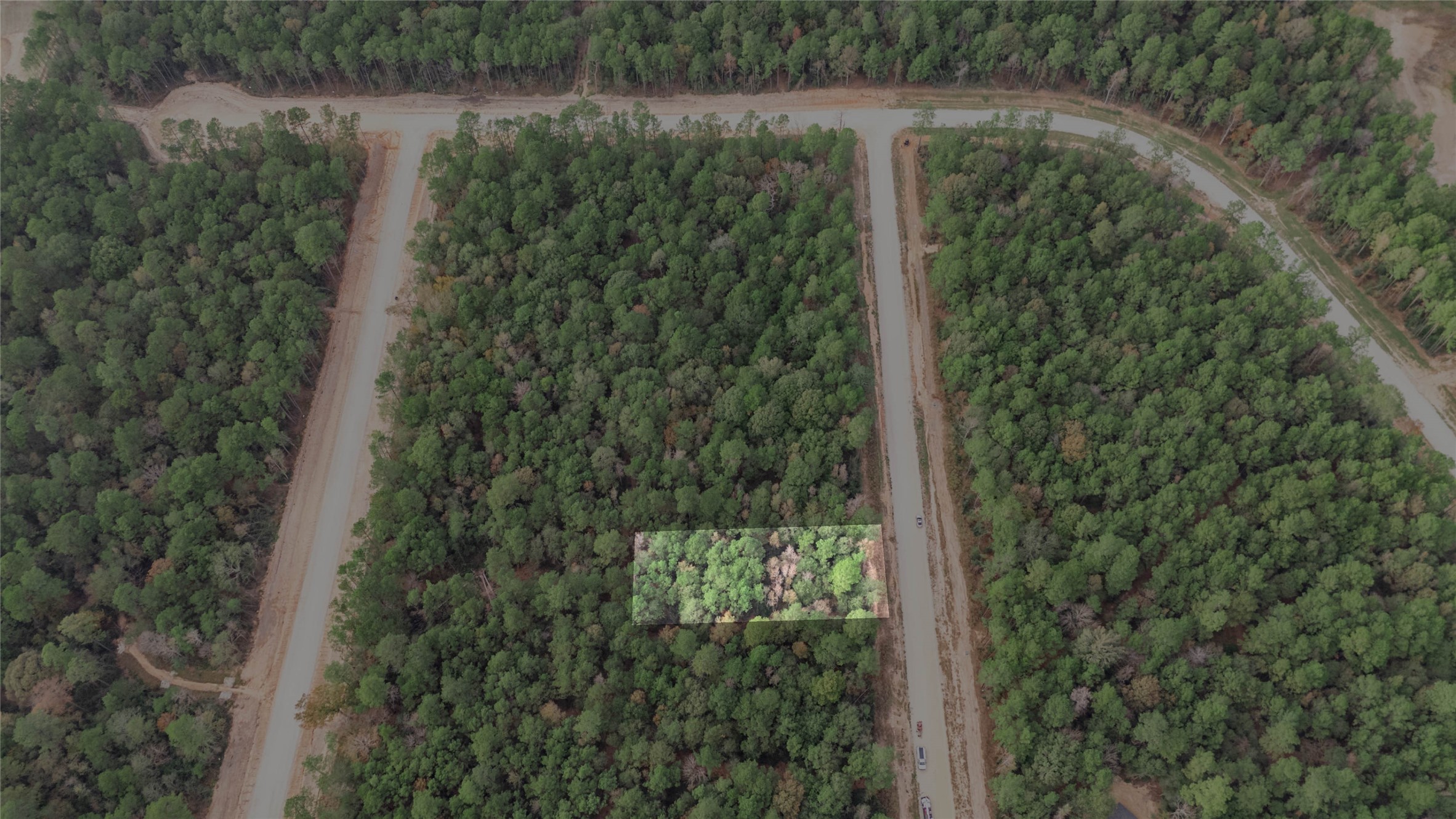 134 Splendid Road New Waverly, TX 77358 - Photo 2 of 17 a view of a forest with a yard