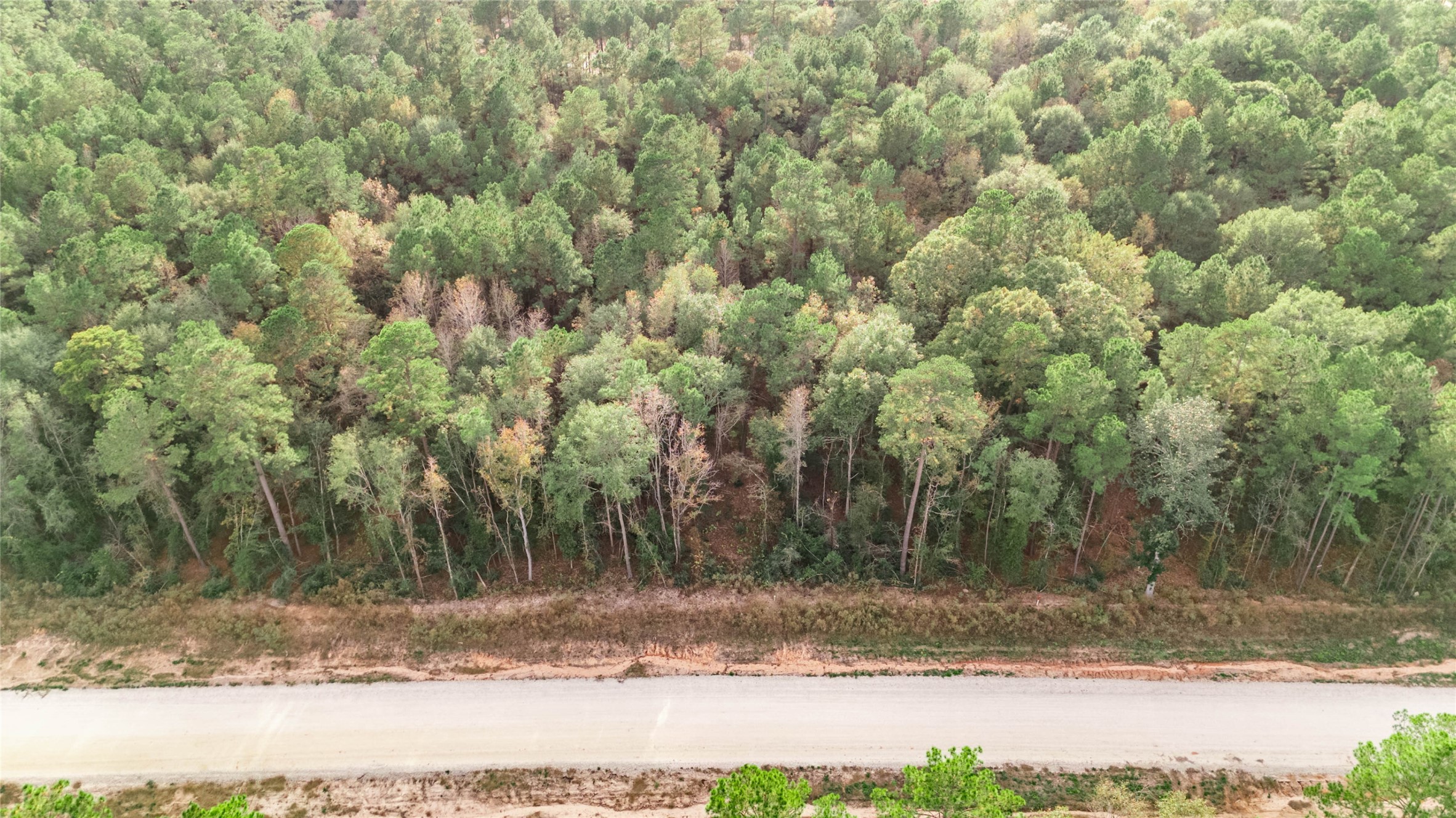 134 Splendid Road New Waverly, TX 77358 - Photo 4 of 17 a view of a yard with trees