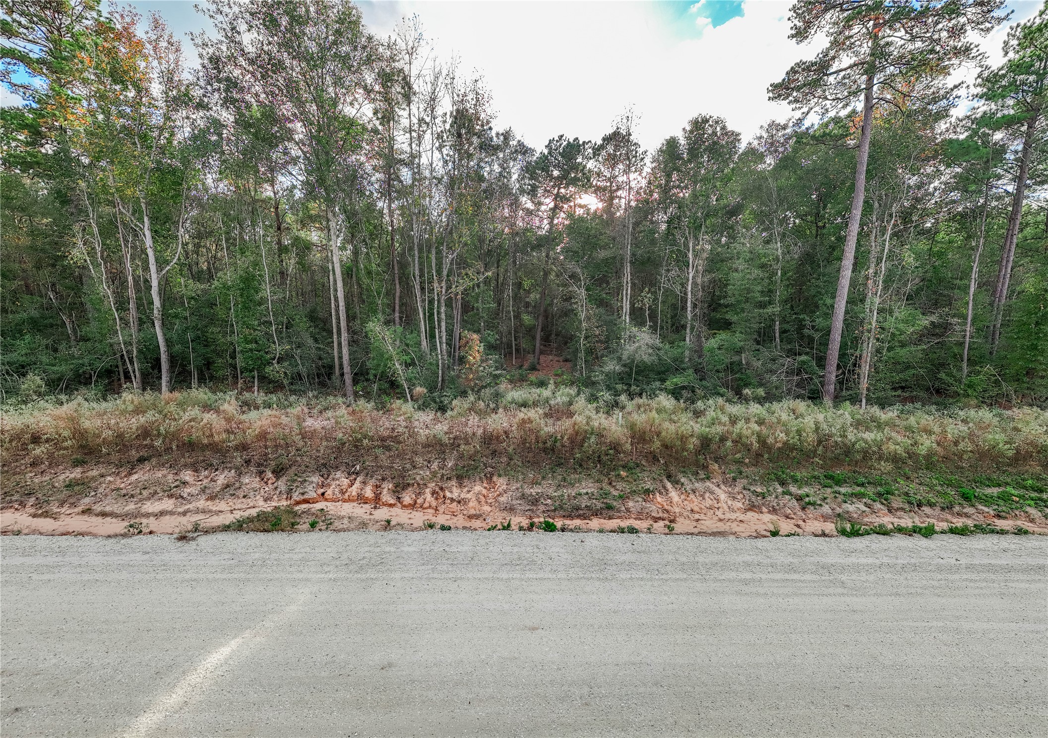 134 Splendid Road New Waverly, TX 77358 - Photo 5 of 17 a view of a forest filled with trees