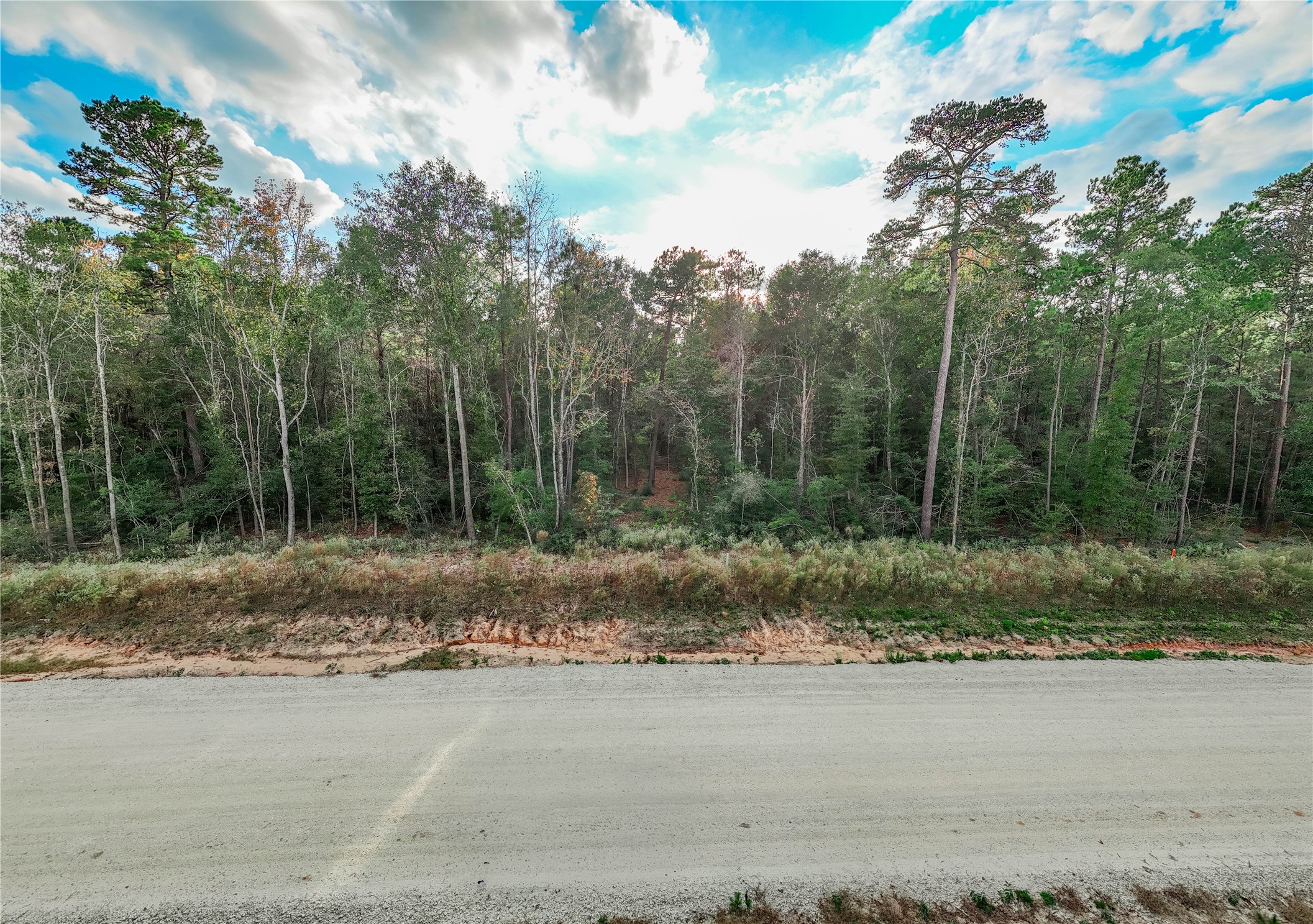 134 Splendid Road New Waverly, TX 77358 - Photo 6 of 17 a view of a yard with a tree