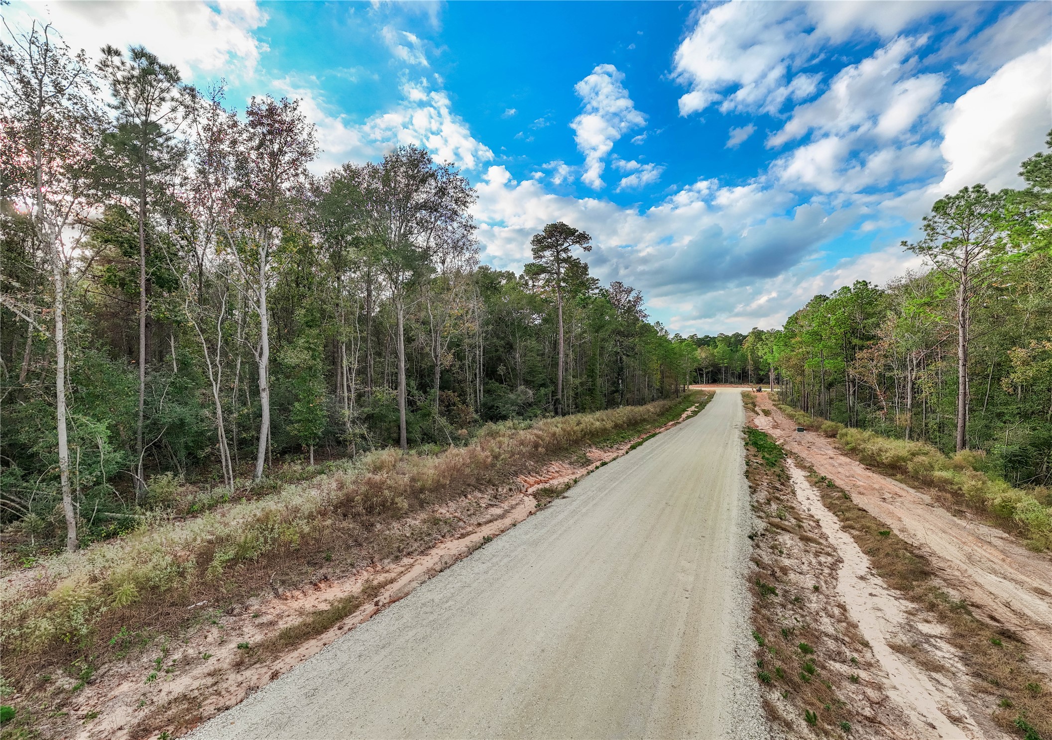 134 Splendid Road New Waverly, TX 77358 - Photo 7 of 17 a view of a yard with iron fence