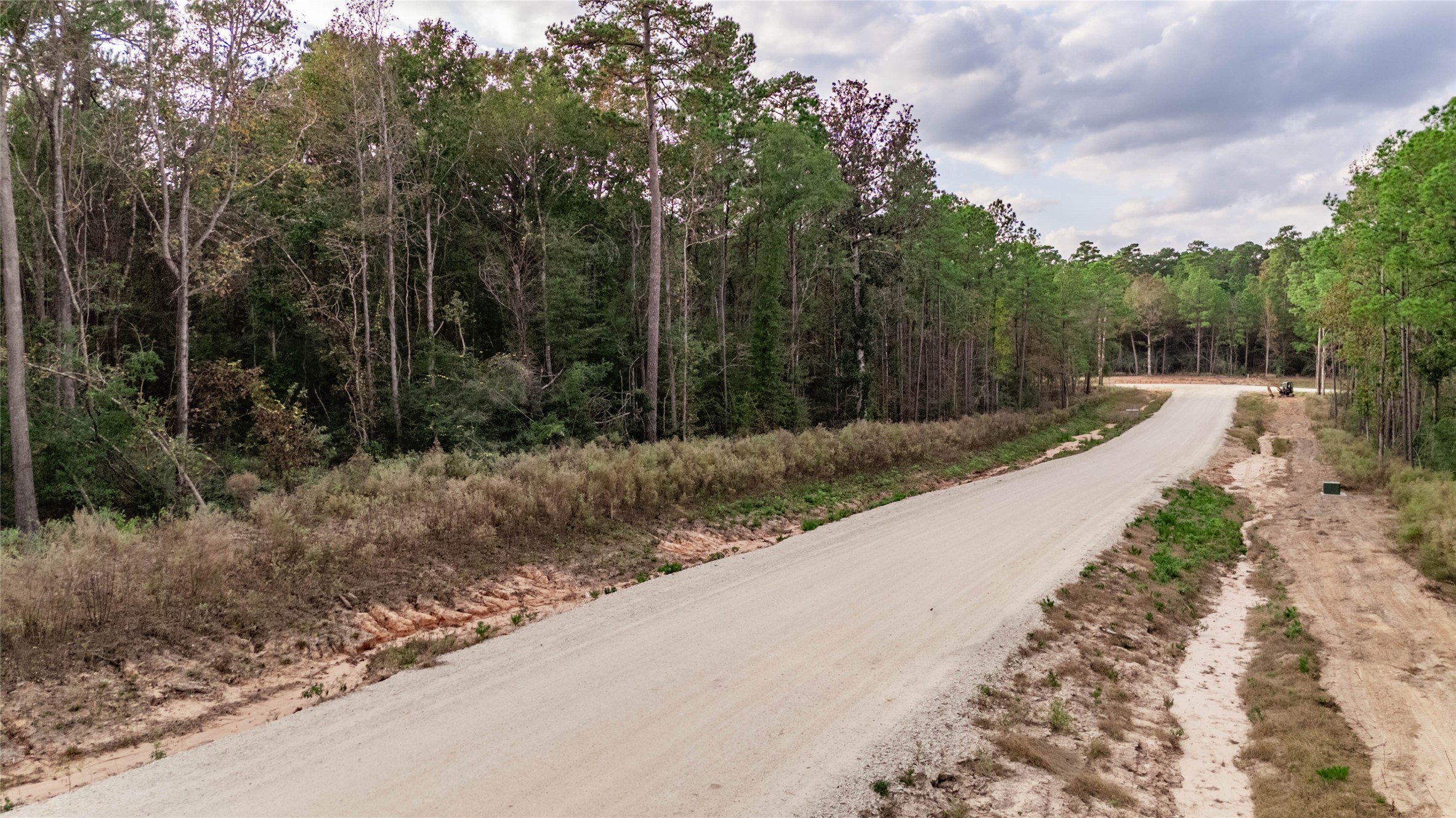 134 Splendid Road New Waverly, TX 77358 - Photo 8 of 17 a view of a street with trees on both side of it
