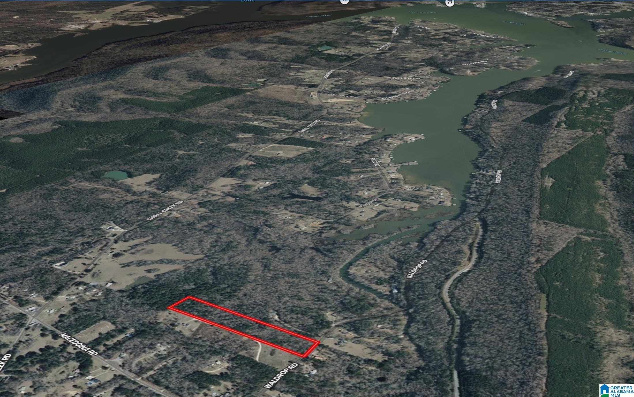 0 Waldrop Road, Unit 10 82 ACRES Ashville, AL 35953 - Photo 2 of 22